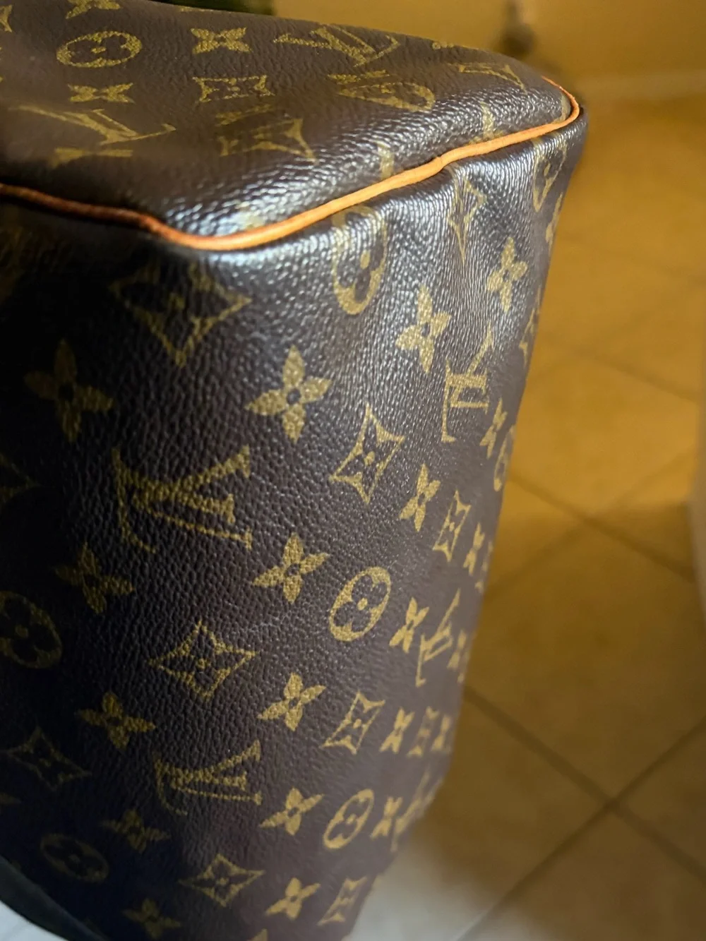 Louis Vuitton Monogram Speedy 25